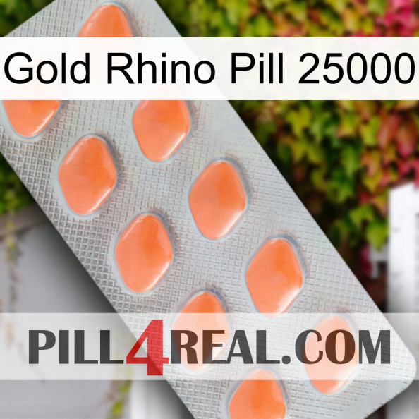 Gold Rhino Pill 25000 26.jpg